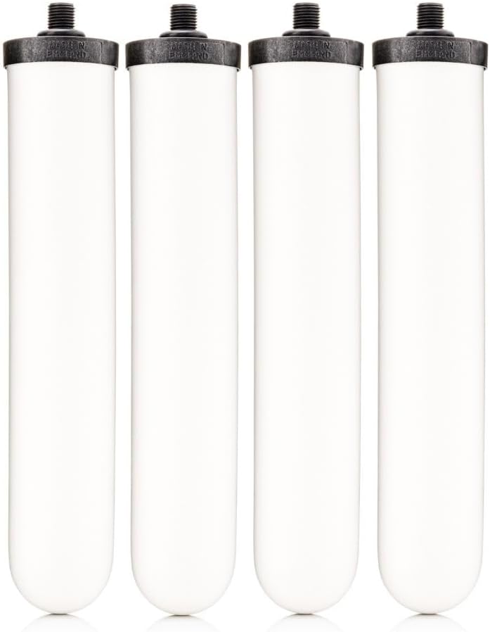 DOULTON ¦ W9123053 ¦ 10' UltraCarb ¦ Authentic Drinking Water Ceramic Replacement Candle Element Filter ¦ 9501 ¦ White ¦ NSF Certified ¦ BSP Thread ¦