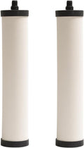 Franke FRC06-2PK Undersink Water Filtration Filter for FRCNSTR, Chlorine, 2-Pack