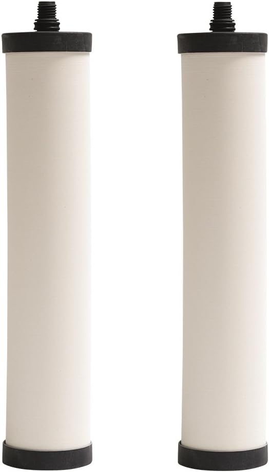 Franke FRC06-2PK Undersink Water Filtration Filter for FRCNSTR, Chlorine, 2-Pack
