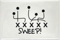 CafePress Football Sweep Magnets Rectangle Magnet (100 pack)