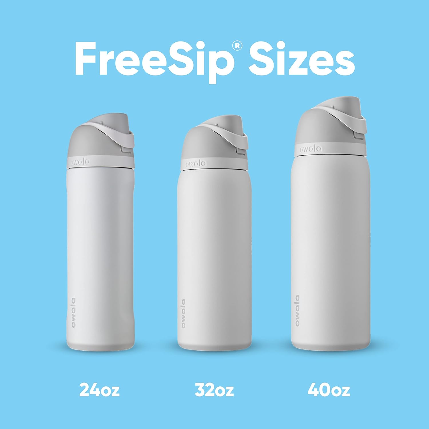 Owala FreeSip Insulated Stainless Steel Water Bottle with Straw, BPA-Free Sports Water Bottle, Great for Travel, 24 Oz, Boneyard (Pack of 6)