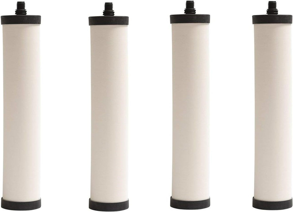 Franke FRC06 Undersink Water Filtration Filter for FRCNSTR, Chlorine Removal (Pack of 4)