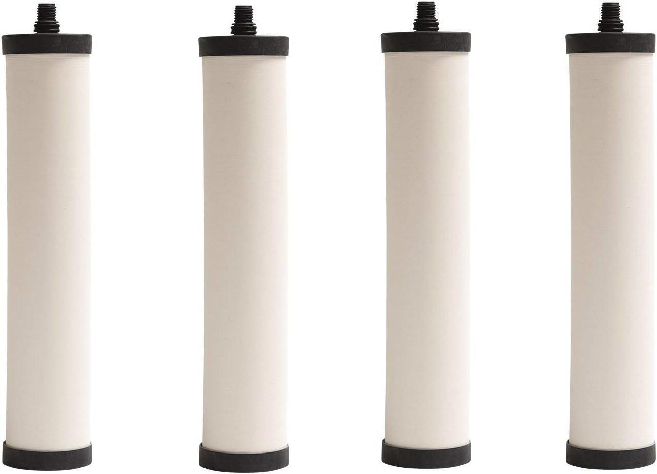 Franke FRC06 Undersink Water Filtration Filter for FRCNSTR, Chlorine Removal (Pack of 4)