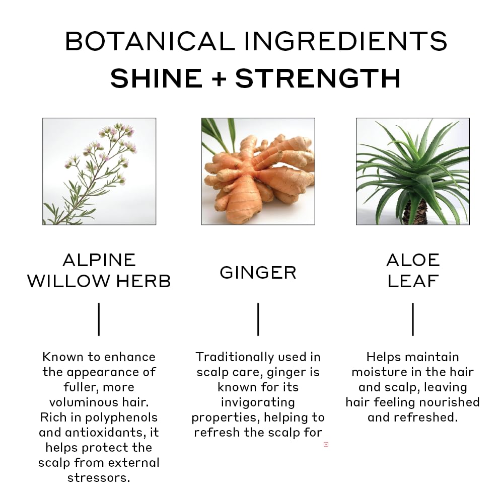 ZENAGEN Evolve Repair + Protect Nourishing Shampoo (Unisex) | Repairs & Strengthens Damaged Hair, Promotes Thicker Fuller Hair, Plant-Based, Color-Safe, Vegan, All Hair Types