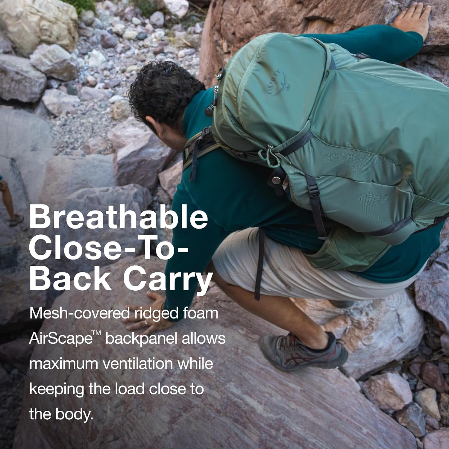 Osprey Sportlite 25L Lightweight Hiking Backpack for Men and Women, Pine Leaf Green, M/L, Extended Fit