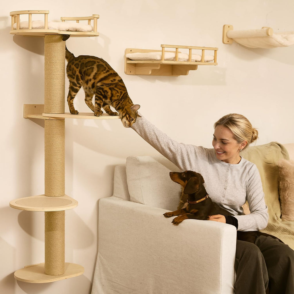 FUKUMARU Cat Wall Shelves, 4 in 1 Stable Wooden Wall-Mounted Furniture Set, Climbing Tree with Hammock, Bed, Perch and Scratching Mat (Beige)