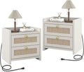 LubanNese 23.6' Nightstand Set of 2, Boho Wooden Bedside Table with Charging Station for Bedroom, Farmhouse Rustic Large Wide Night Stands with 2 Soft Close Drawers, Beige Ash