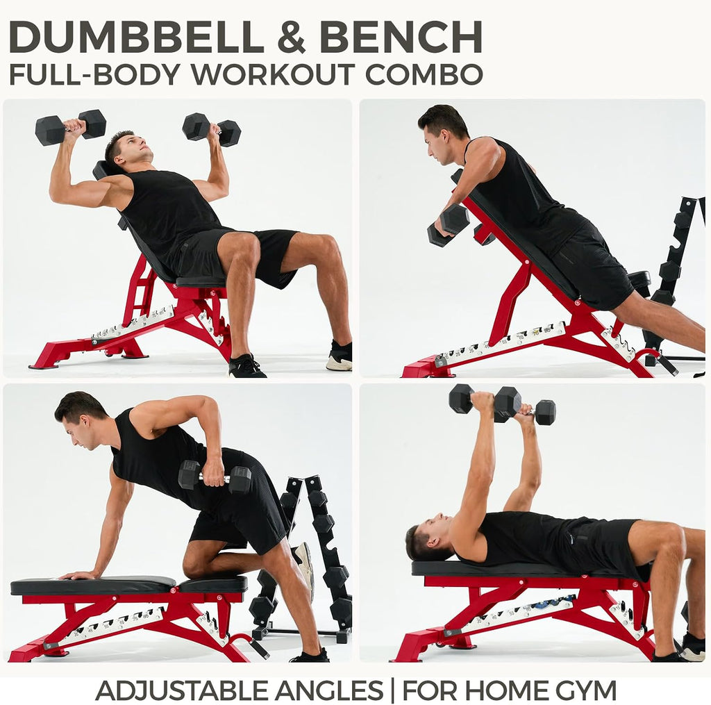 RITFIT 300/350/650LBS Rubber Coated Hex Dumbbell Set with Rack and Multi-Position Weight Bench, 1300LB Capacity for Full Body Workout