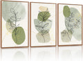 KAlRNE Boho Botanical Framed Canvas Wall Art Set of 3(24'X36'),Abstract Sage Green Wall Decor,Minimalist Watercolor Picture,Modern Geometric Black Line Art Prints For Living Room Bedroom Office