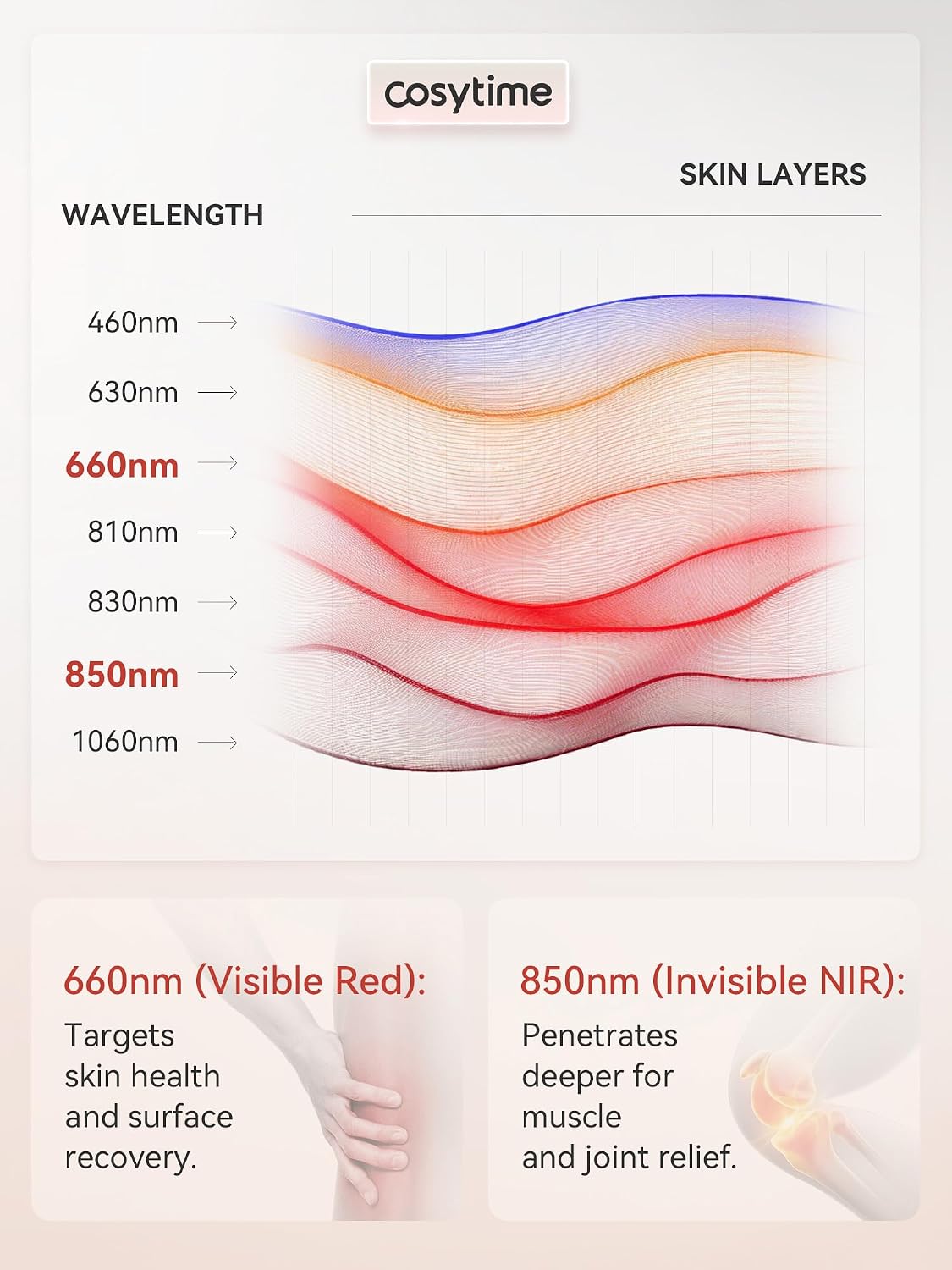 35' x 17' Red Light Therapy Mat for Body, Tri-Chip 1536 LEDs High-Density Matrix, 660nm Red & 850nm Near-Infrared