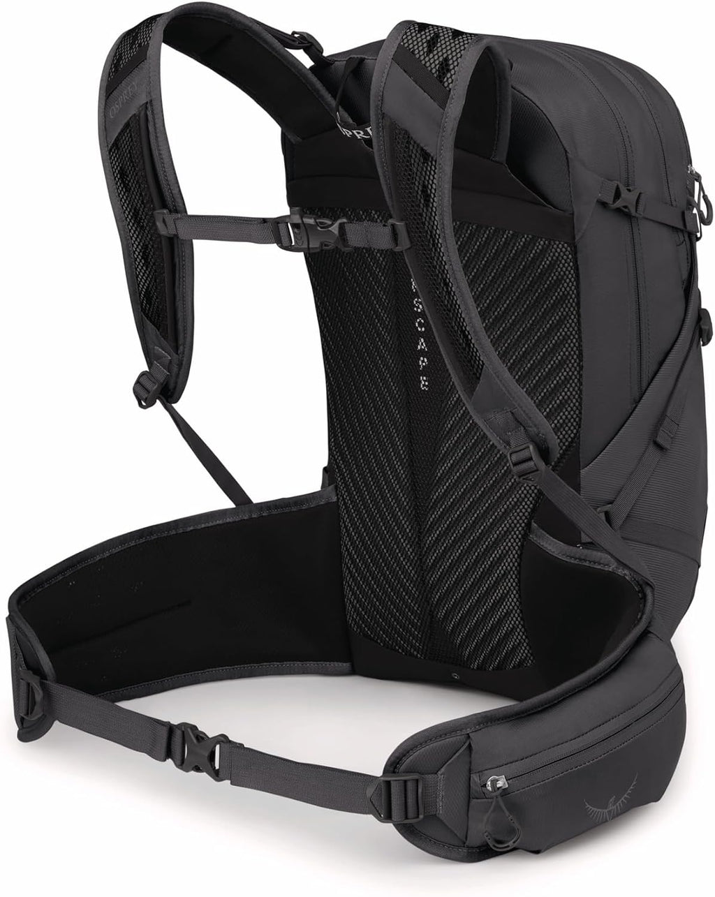 Osprey Sportlite 25L Lightweight Hiking Backpack for Men and Women, Dark Charcoal Grey, S/M, Extended Fit