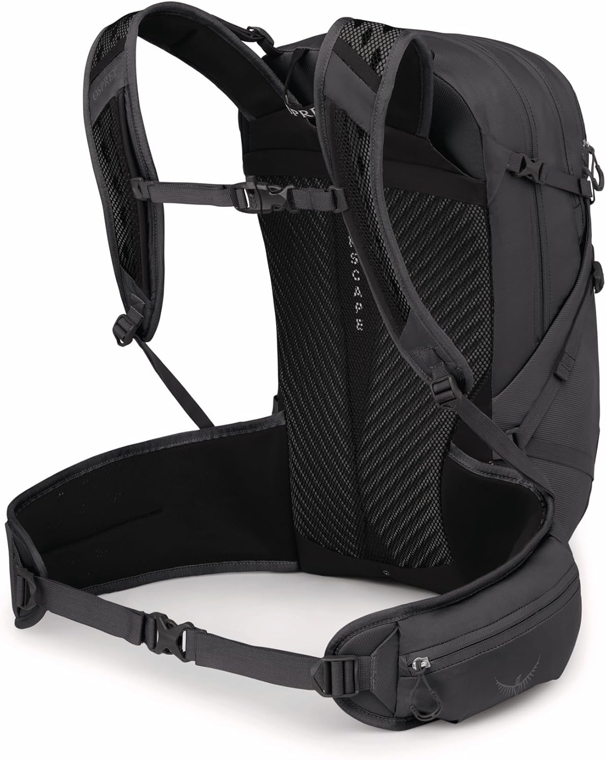 Osprey Sportlite 25L Lightweight Hiking Backpack for Men and Women, Dark Charcoal Grey, S/M, Extended Fit