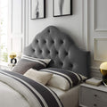 Modway Sovereign Twin Diamond Tufted Performance Velvet Headboard, Gray