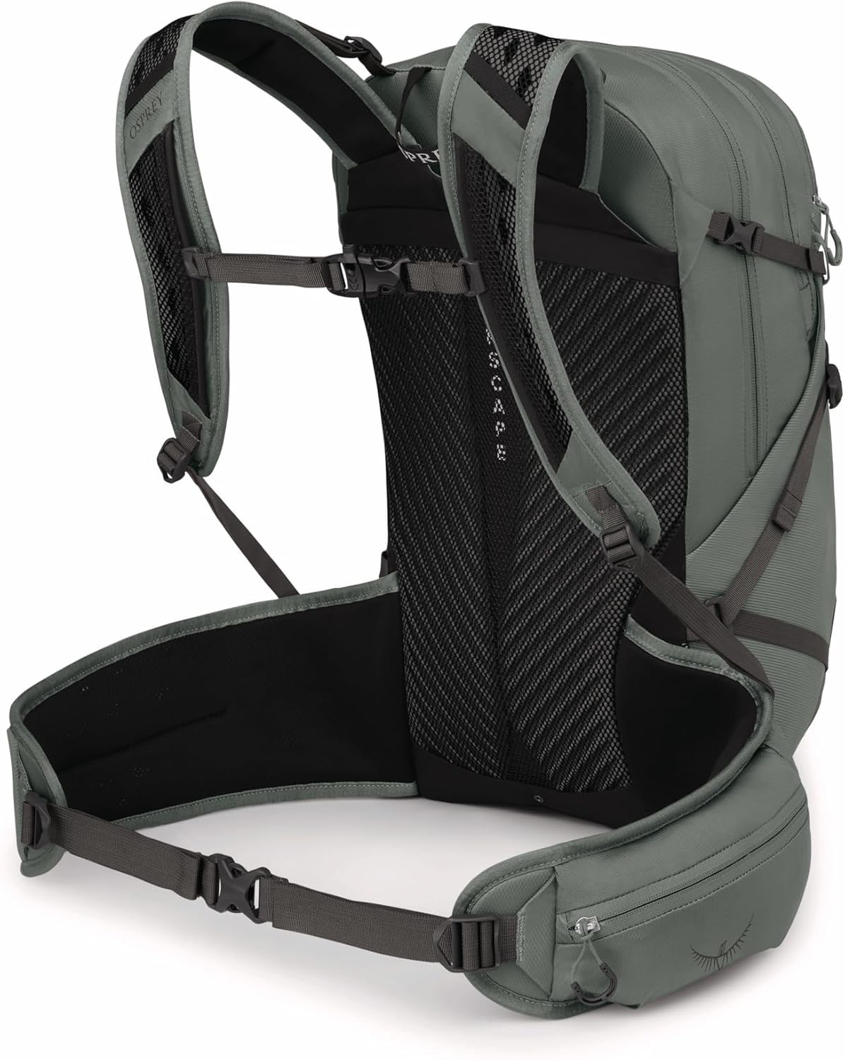 Osprey Sportlite 25L Lightweight Hiking Backpack for Men and Women, Pine Leaf Green, S/M, Extended Fit