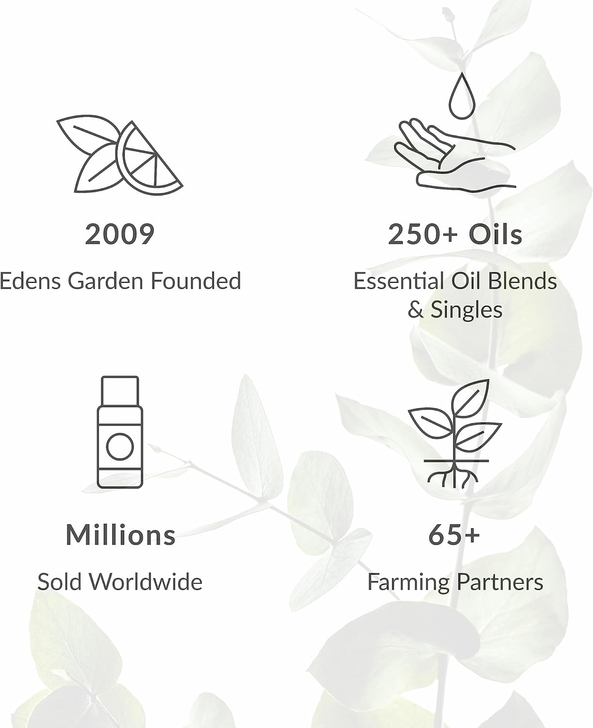 Edens Garden Calming The Mind Essential Oil Blend- 100% Pure Premium Grade, Undiluted, Natural, Therapeutic, Aromatherapy, The Best for Skin, Humidifiers, Kid Safe 118 ml (4 fl oz)