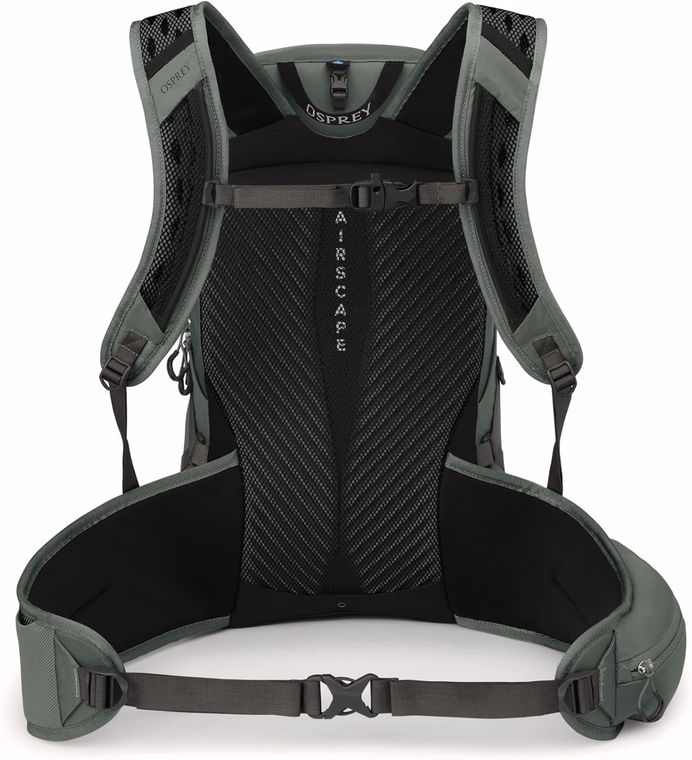 Osprey Sportlite 25L Lightweight Hiking Backpack for Men and Women, Pine Leaf Green, S/M, Extended Fit