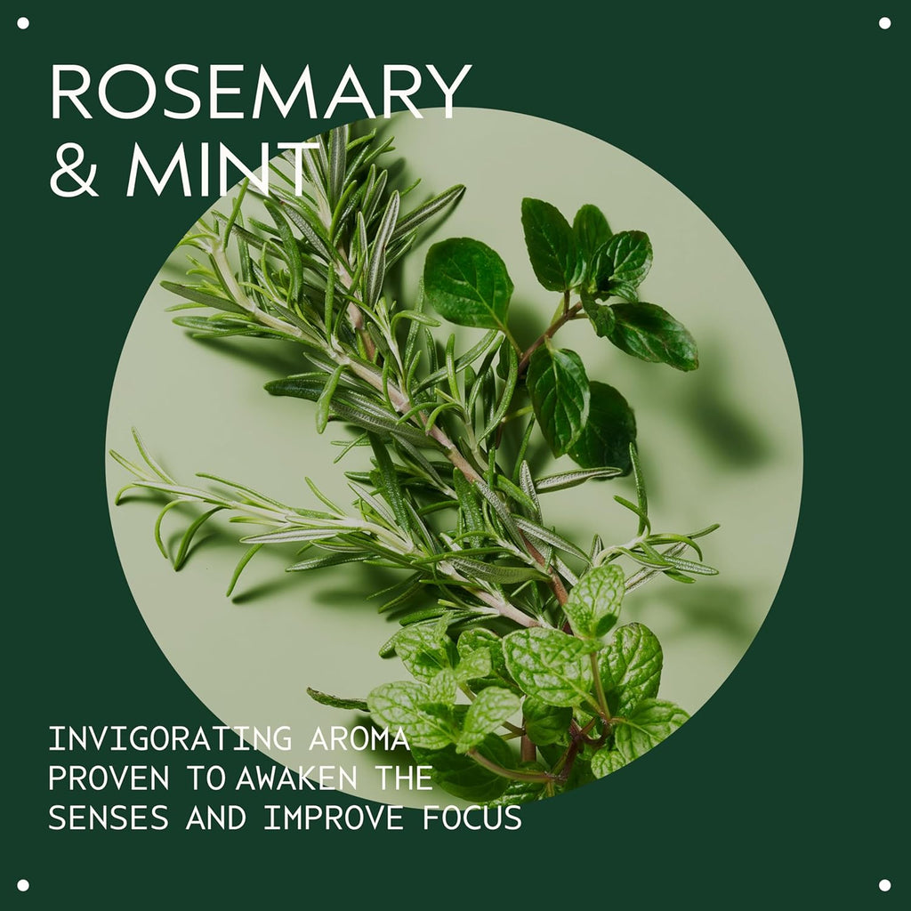 Aveda Rosemary Mint Purifying Shampoo | Clarifying Shampoo | Gently Removes Buildup, Adds Shine | For Normal to Oily Hair, Fine to Medium Hair Types | Invigorating Aroma| 97% Naturally Derived*