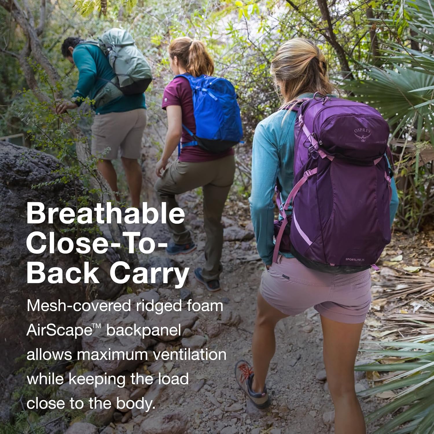 Osprey Sportlite 25L Lightweight Hiking Backpack for Men and Women, Pine Leaf Green, M/L