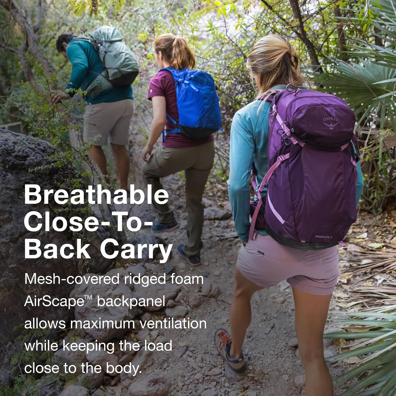 Osprey Sportlite 25L Lightweight Hiking Backpack for Men and Women, Aubergine Purple, M/L