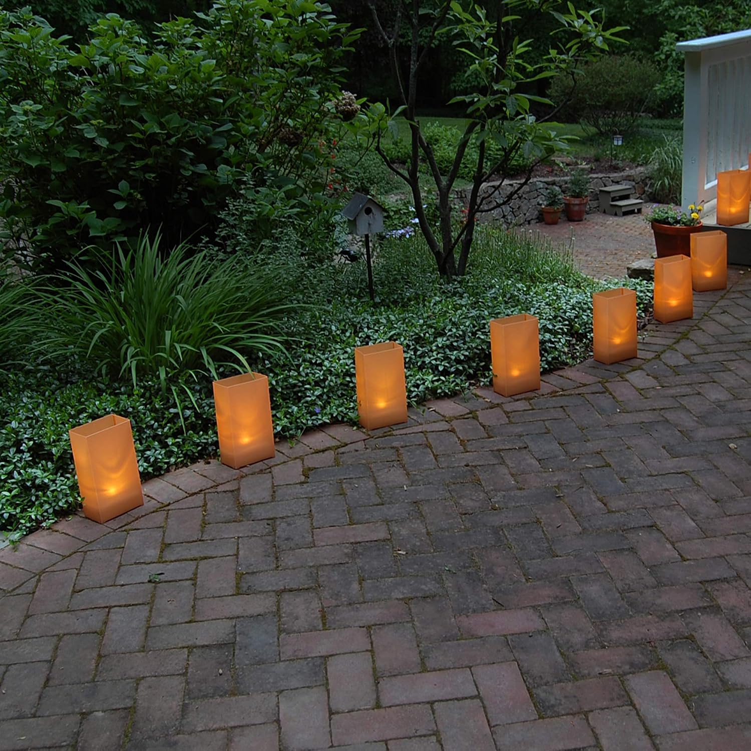 Lumabase 32310 Electric Luminaria Kit, Tan (Pack of 6)