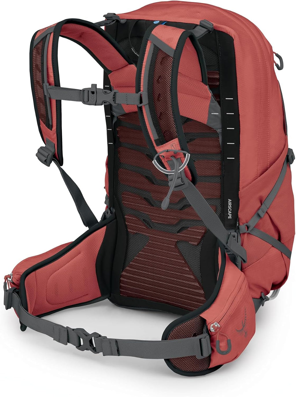 Osprey Tempest 22L Women's Lightweight Hiking Backpack - Small Daypack for Travel & Camping, Red Pampas/Coal Grey