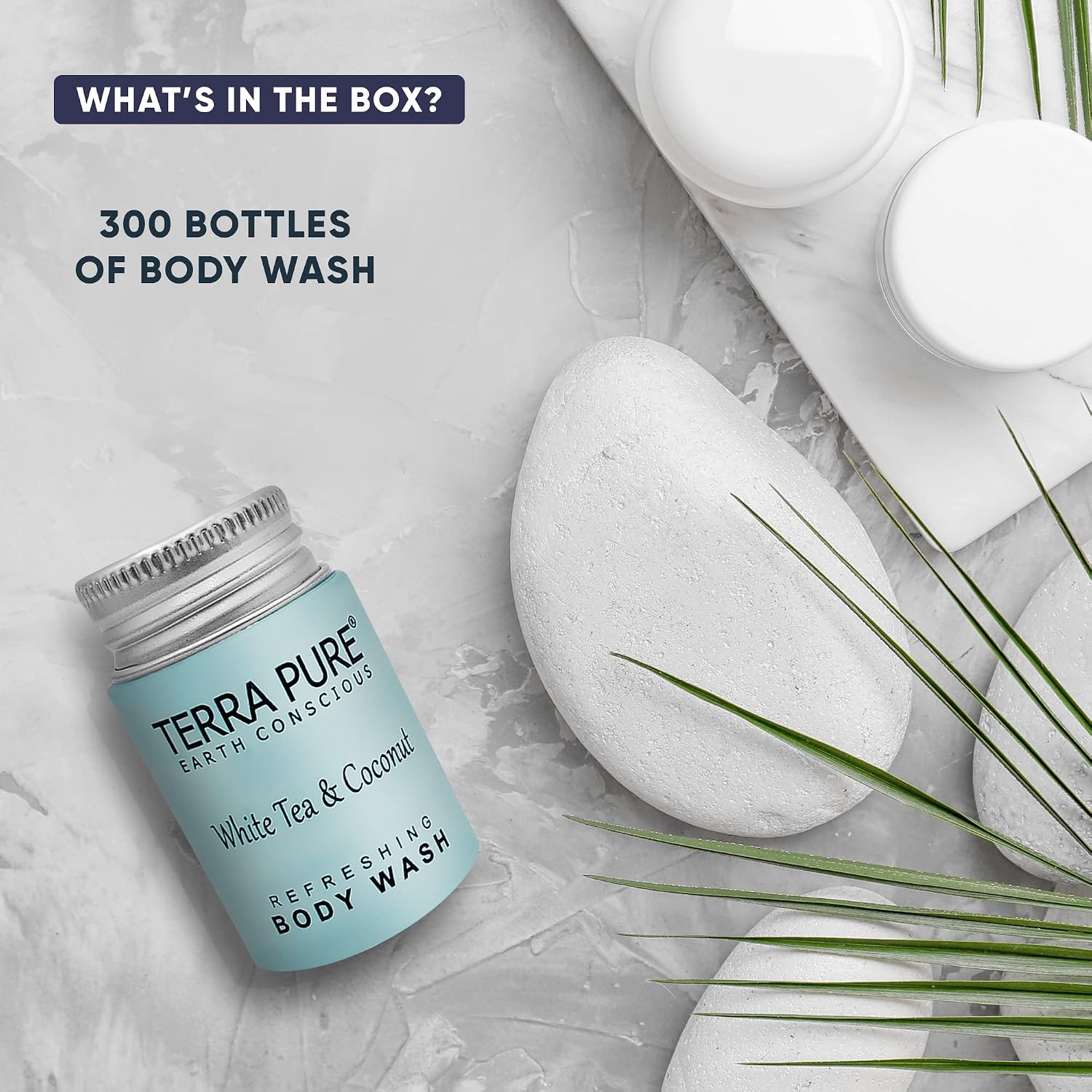 Travel Size Hotel Body Wash 300 Count 1 oz Bottles Guest Amenities for Hotels Vacation Rentals & Short Term Rentals Paraben Free White Tea & Coconut Scent Infused with Aloe and Olive Oil by Terra Pure