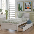 Bellemave Twin Size Platform Bed with 2 Storage Drawers, Solid Wood Twin Bed Frame with Slat Support and Headboard for Kids, Teen, Adults, No Box Spring Needed(Twin, White)