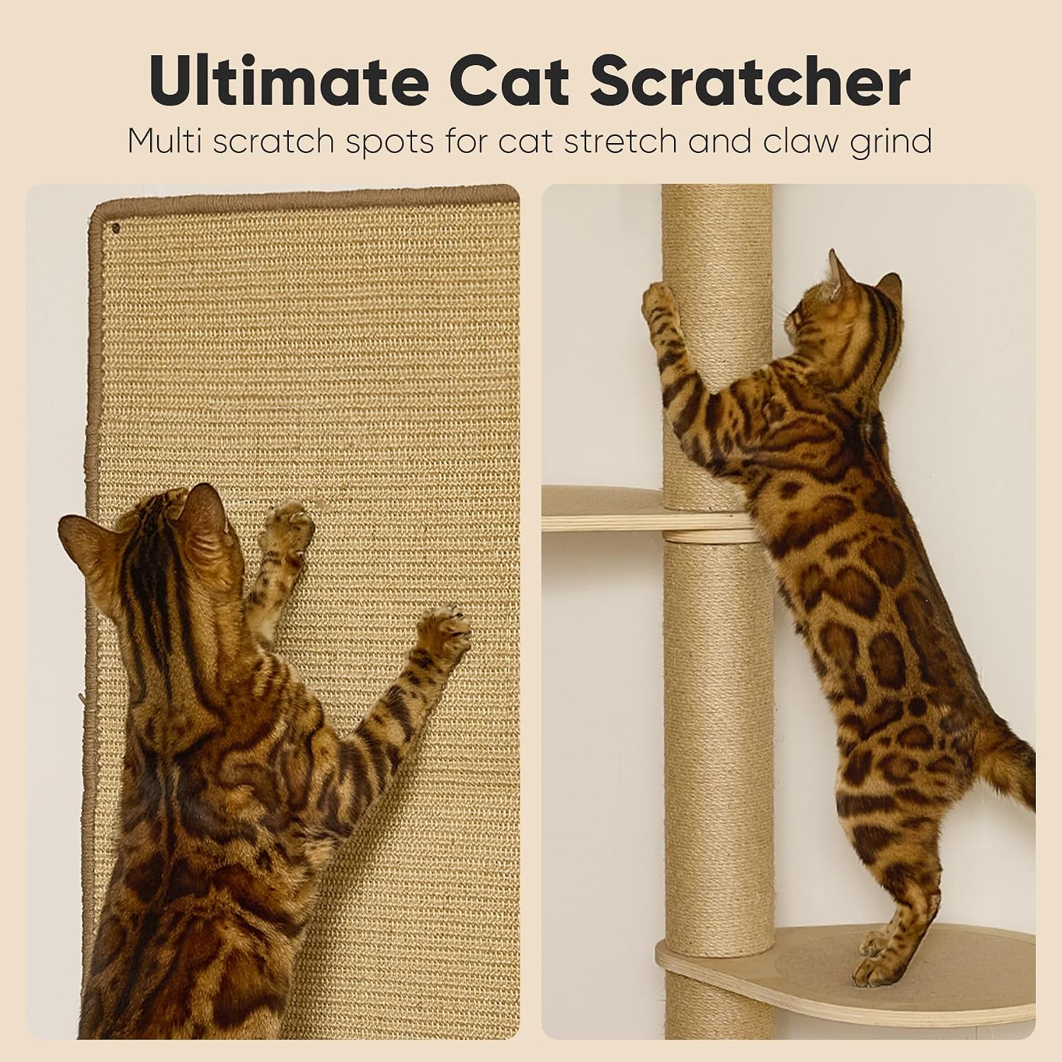 FUKUMARU Cat Wall Shelves, 4 in 1 Stable Wooden Wall-Mounted Furniture Set, Climbing Tree with Hammock, Bed, Perch and Scratching Mat (Beige)