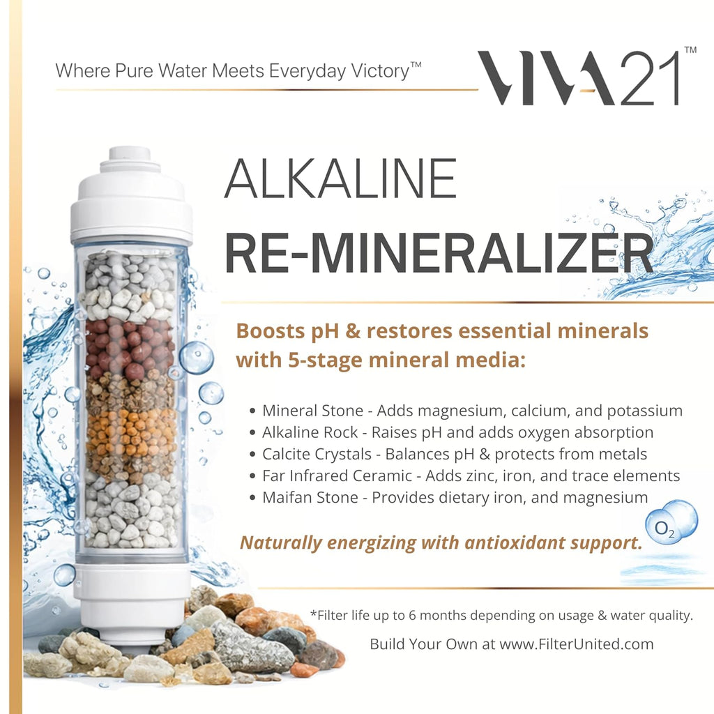 Reverse Osmosis System (6-Stage Alkaline)