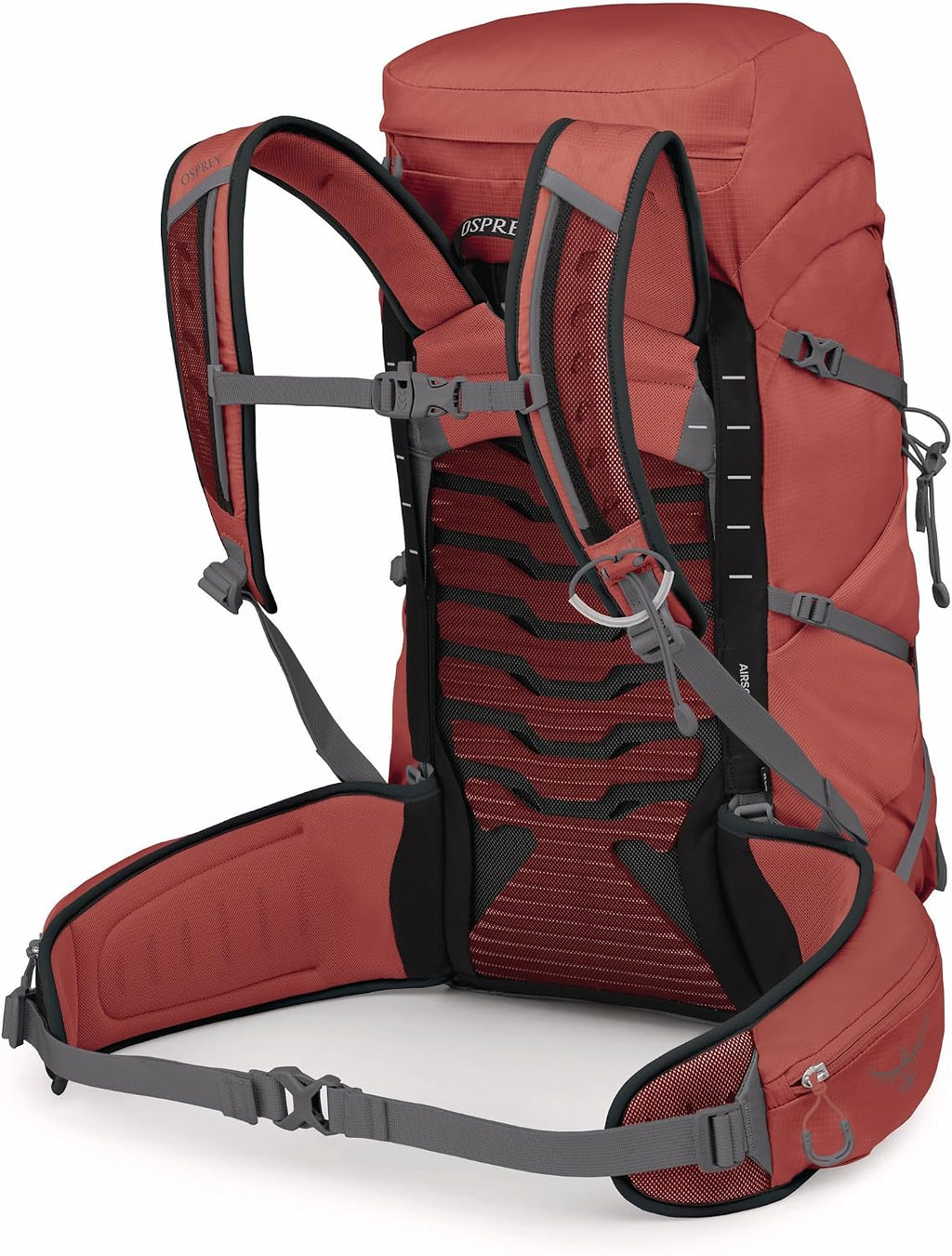 Osprey Tempest 33L Women's Lightweight Hiking Backpack - Daypack for Travel & Camping, Red Pampas/Coal Grey, Extended Fit