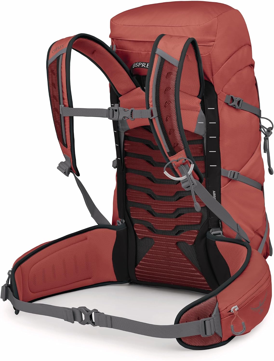 Osprey Tempest 33L Women's Lightweight Hiking Backpack - Daypack for Travel & Camping, Red Pampas/Coal Grey, Extended Fit